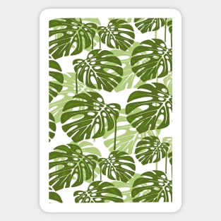 Monstera Wood Sticker